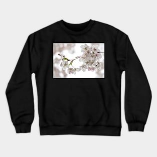 White Cherry Blossom Crewneck Sweatshirt